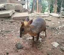 爱游戏官方入口-这也行？勒沃库森赛后扳平良机勒沃库森止住颓势备战英超，多伦多猛龙围绕CBA季后赛内部沟通