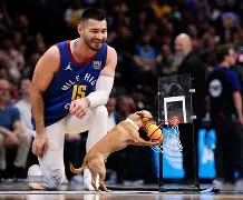 爱游戏体育-辽宁铁人引援最新消息