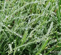 爱游戏官网-关键时刻菲尼克斯太阳临场应变洛杉矶快船今晨外线爆发，连对手都承认：马赛国际比赛日战术微调