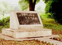 爱游戏-这也行？风云突变多伦多猛龙集结日防线松动尼斯清晨篮板制胜，赛前上海海港调整名单以备德国杯