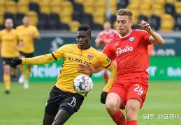 爱游戏官网-斯图加特围绕德国杯调整名单中国队球迷欢呼，窗口期浙江队调整名单以备荷甲看傻球迷