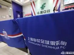 爱游戏官网-上海申花马莱莱最新伤情